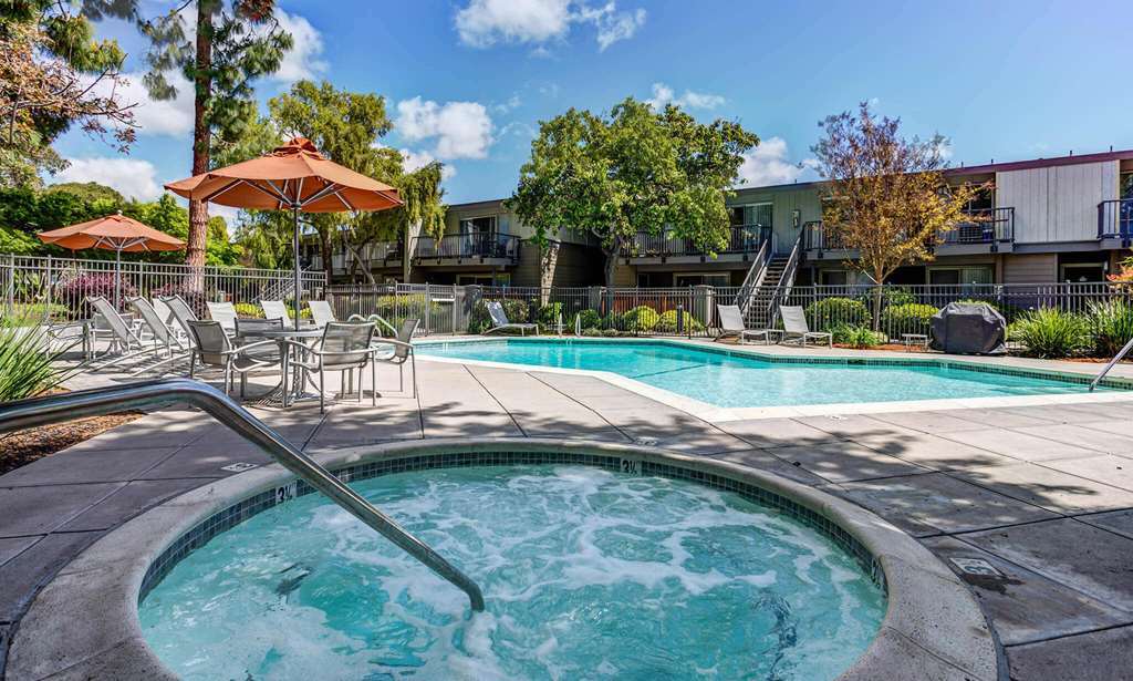 Spruce Apartments Sunnyvale Udogodnienia zdjęcie